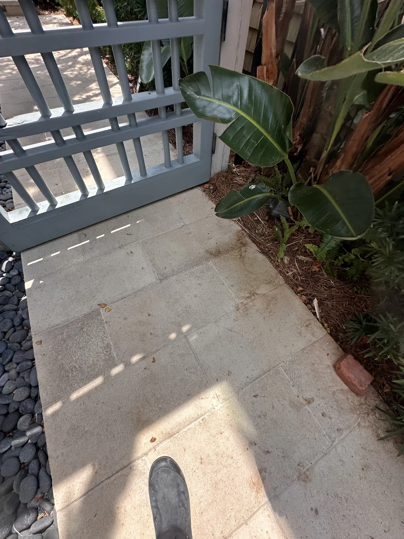 The front gate walk before, pavers dulled and stained