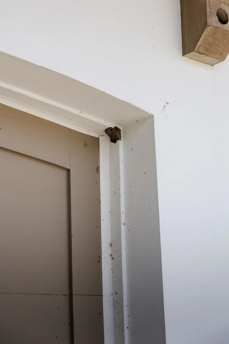 A mud dauber nest on the garage door framing